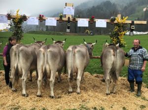 B72_Herger Gustav_KARIN CH 120.0838.7960.6 KAPPER 9